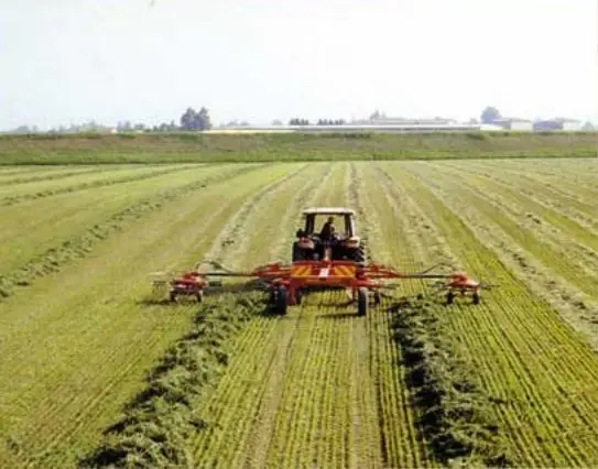 Hay Rake - Fiorini Super Big 1000 - photo 3