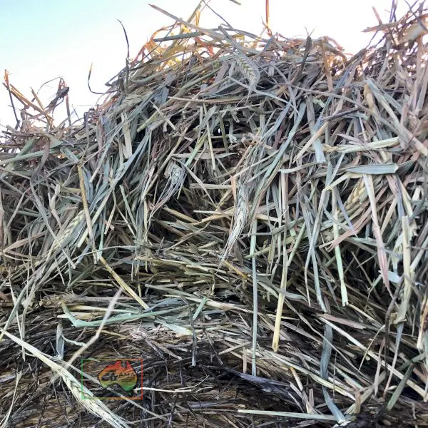 50 Rolls of 5x4 Wheaten Hay ($/roll) - photo 4