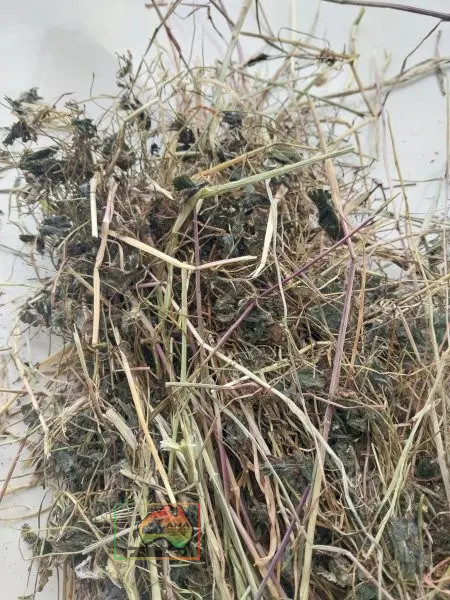 20 Rolls of 5x4 Sub & Rye Hay ($/roll) - photo 3