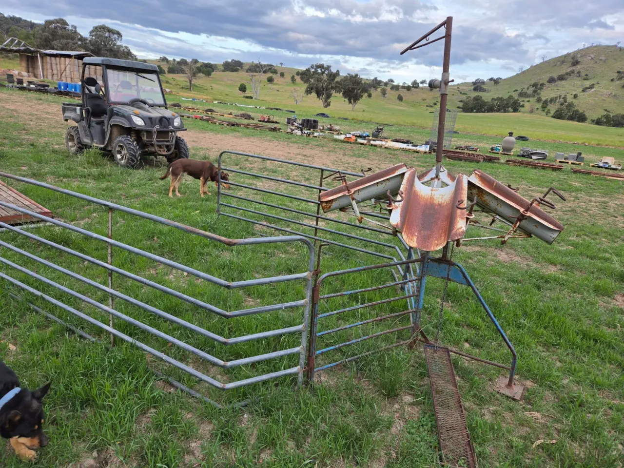 Used - Lambmarking Cradle with Catching Pen - photo 4