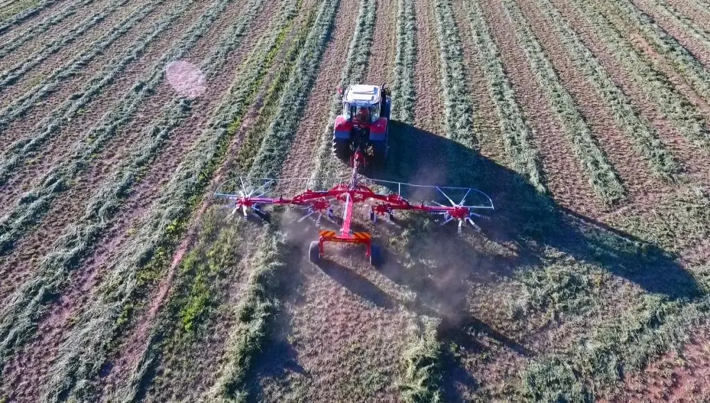 Hay Rake - Fiorini Super Big 1000 - photo 2