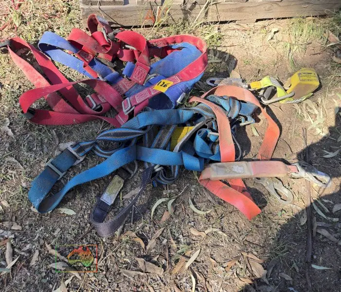 Tree Lopping Harness - photo 1