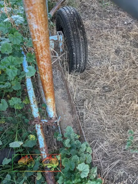 Grain Field Bin with Auger - photo 6